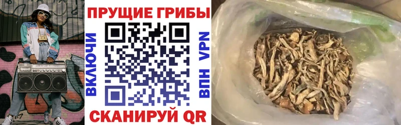 Псилоцибиновые грибы мицелий  даркнет сайт  Холм 